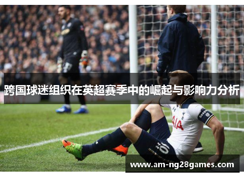 跨国球迷组织在英超赛季中的崛起与影响力分析 跨国球迷组织在英超赛季中的崛起与影响力分析