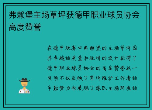 弗赖堡主场草坪获德甲职业球员协会高度赞誉